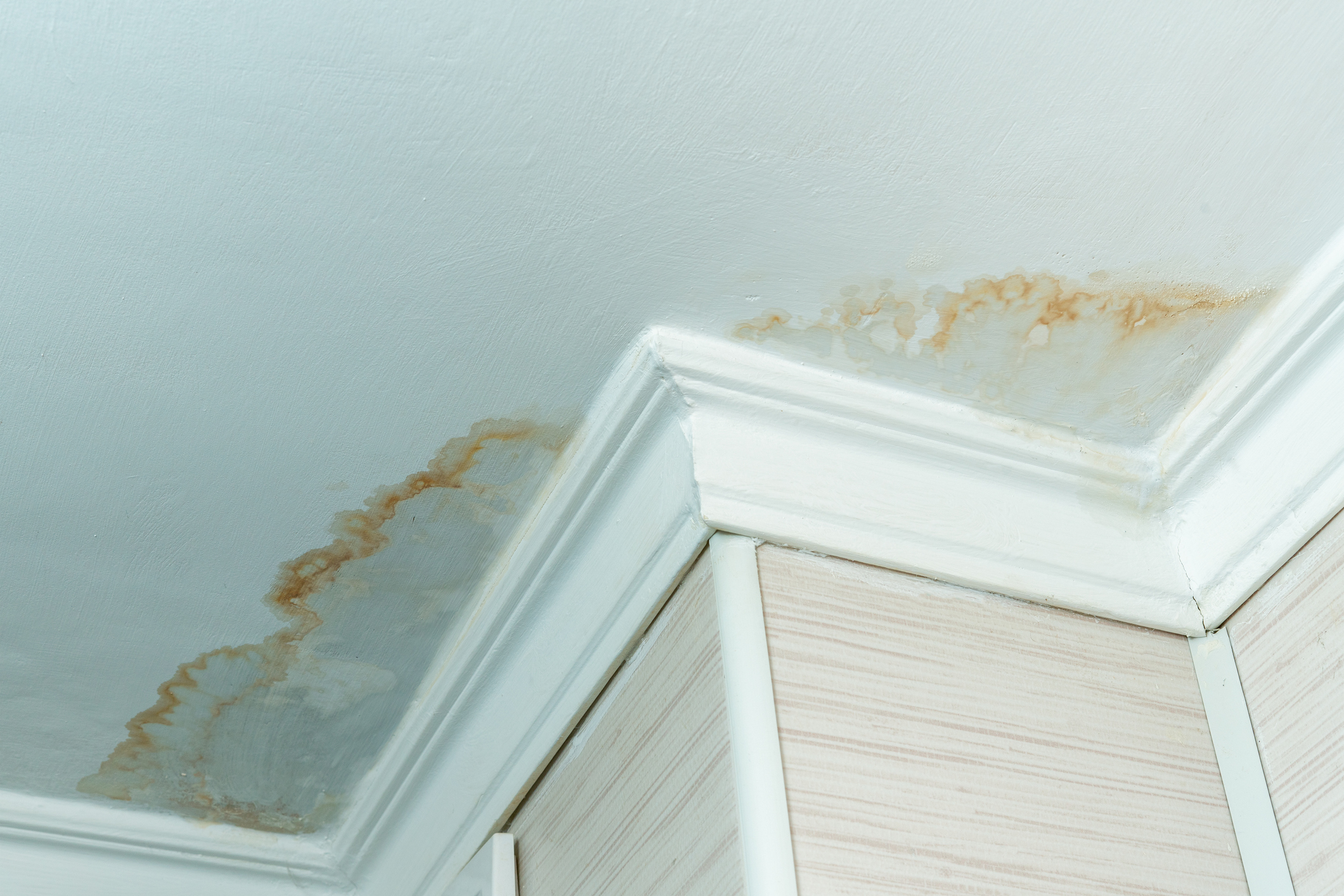 Ceiling water damage